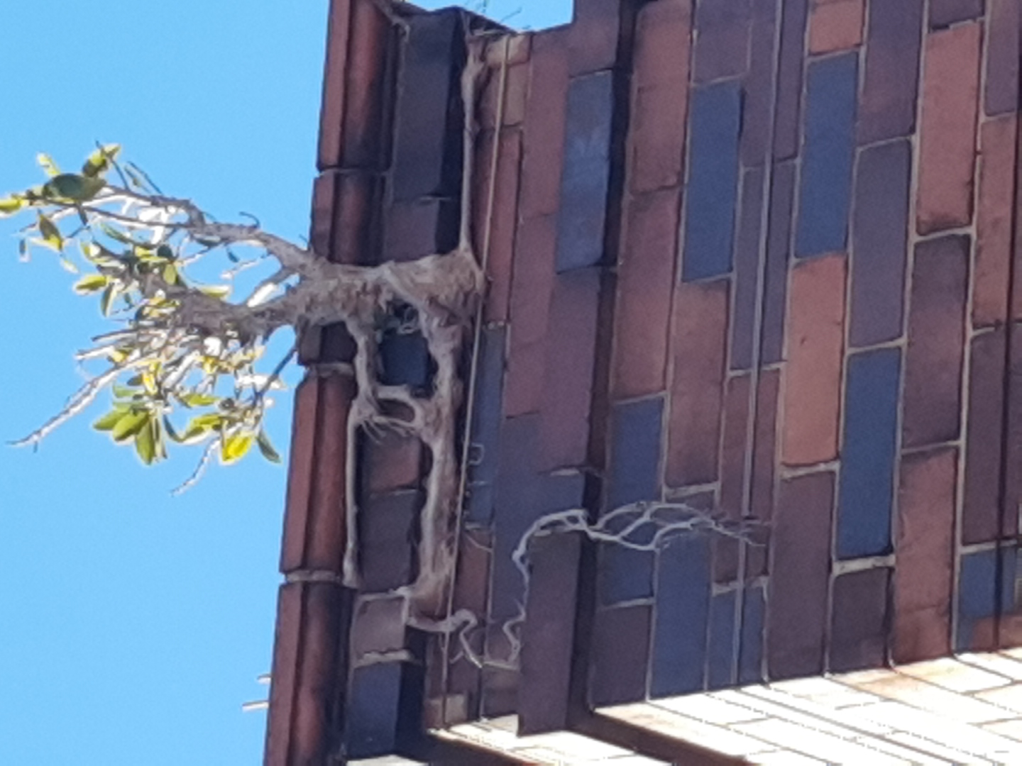 Damaged chimney brickwork before repair